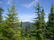 01 This is the first view of Mt. Hood along the trail.  Devil's Peak is in the foreground.