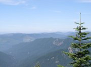08 Hunchback Mountain.  You can follow a trail from the Zig Zag Ranger Station all the way up Hunchback to Devils Peak for an 18+ mile day.
