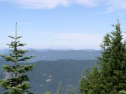 09 Rainier framed between some trees.