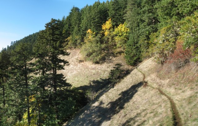 Portland Hikers • PortlandHikers.org